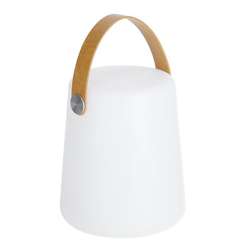 Переносная настольная лампа Dialma