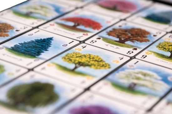 Настольная игра Арборетум