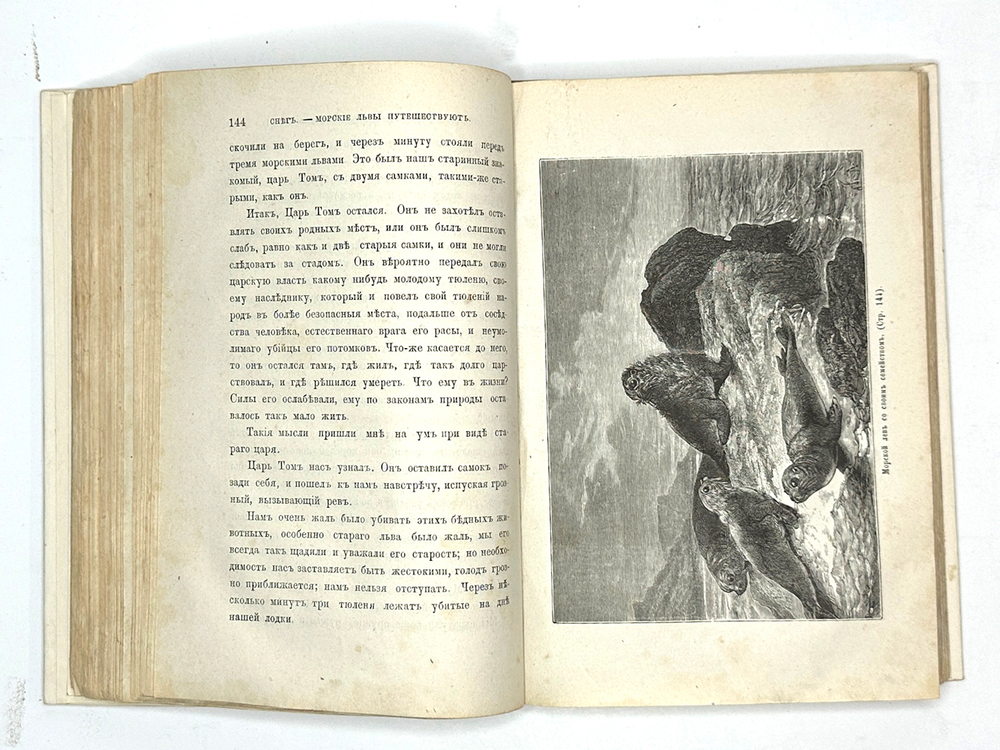 Райналь Ф.Е. Крушение шкуны Графтон. 20 месяцев одиночного преб. на рифе Аукландских островов. 1875