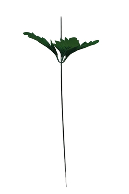 Стебель с листом хризантемы
