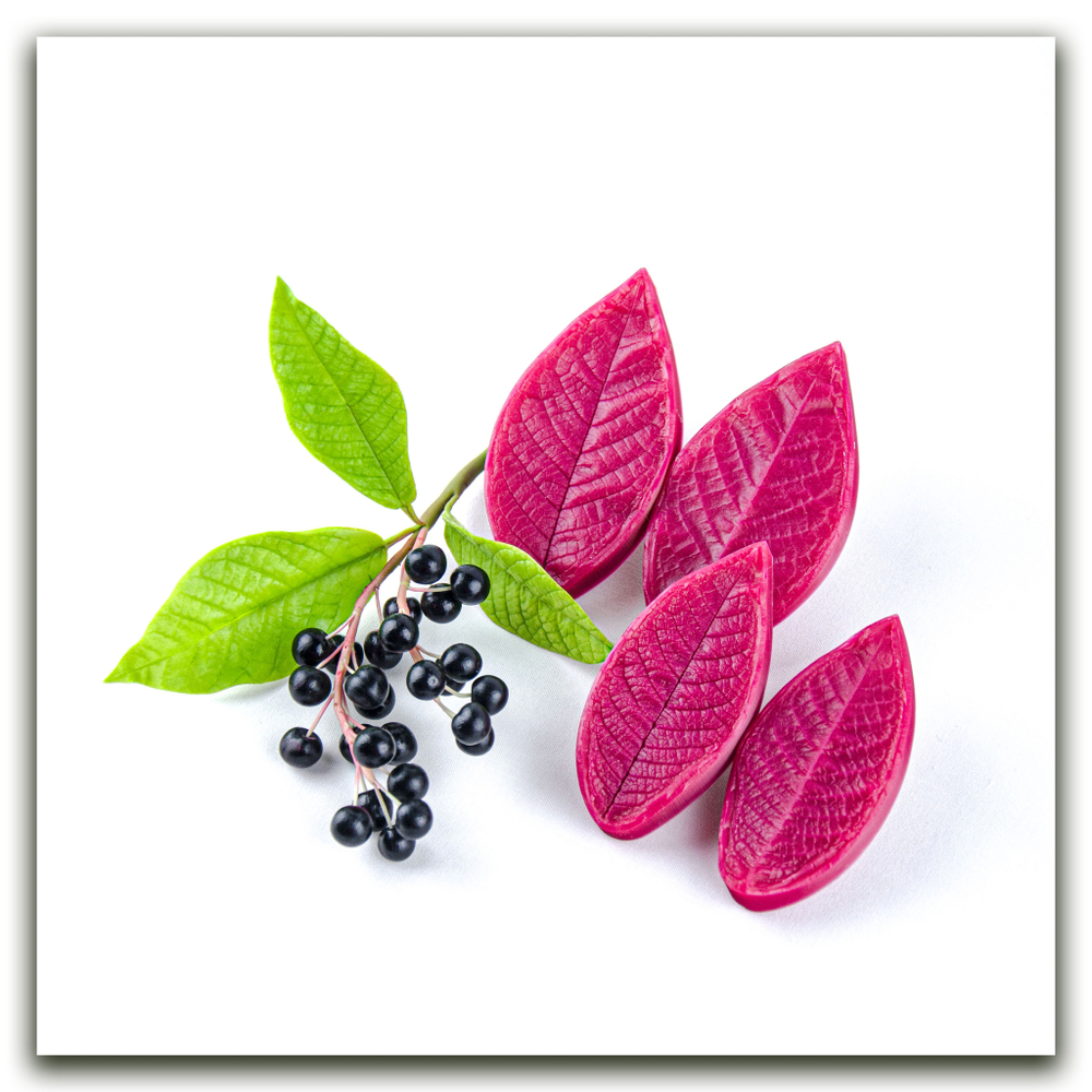 Листья черёмухи средние