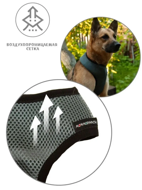 Жилет шлейка для собак и кошек прогулочная