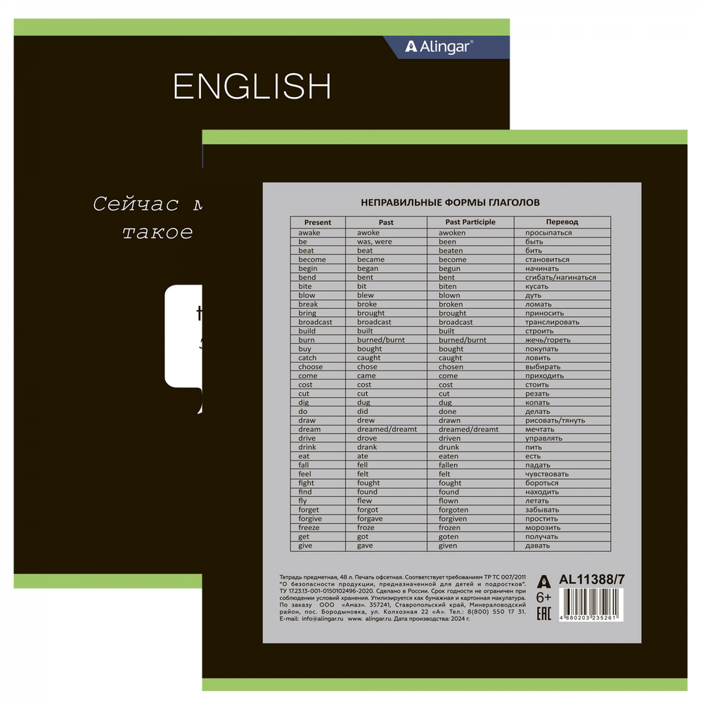 Тетрадь предметная "Английский язык" А5 48л., клетка, со справочным материалом, скрепка, мелованный картон (стандарт), блок офсет, Alingar "Loading"