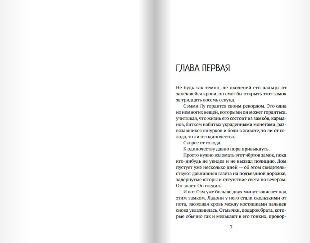 Мальчик, который крадёт дома