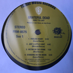 Grateful Dead / Built To Last (LP)