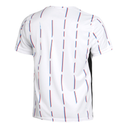 Мужское теннисное поло Australian Stripe In Ace T-Shirt Men - White