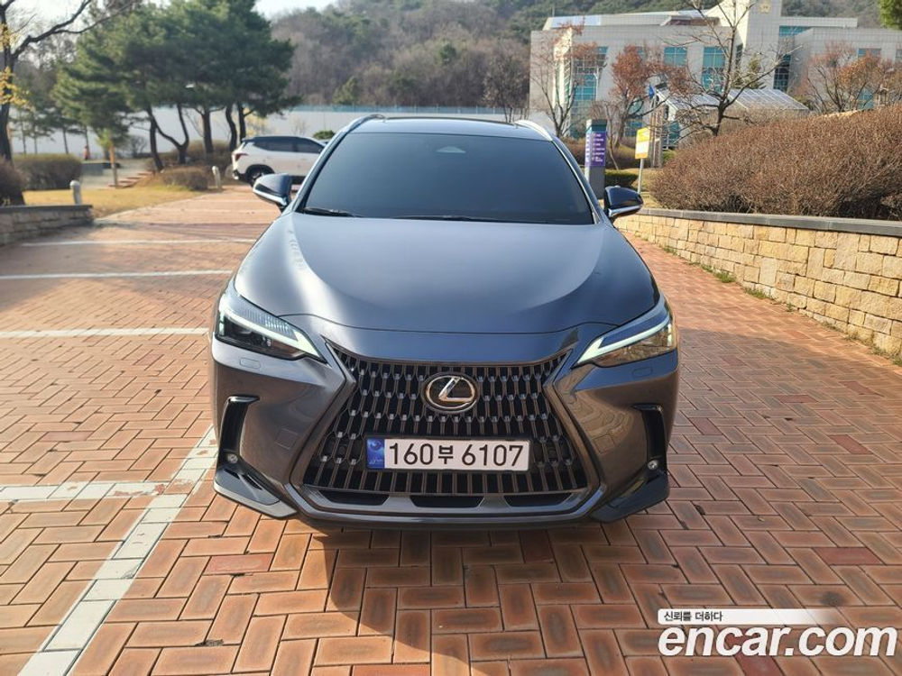 Lexus NX350h 2 Generation Premium (11.2023)