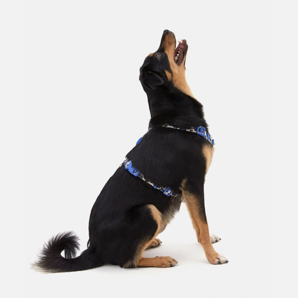 Анатомическая шлейка Midnight Safari