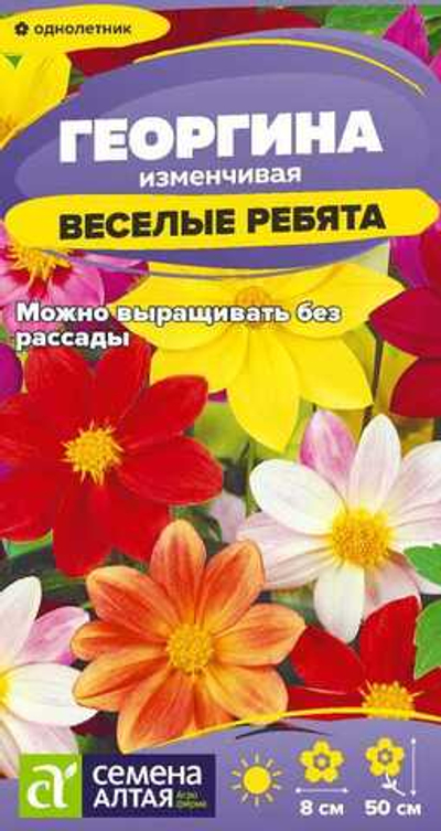 Георгина Веселые Ребята 0,2 гр (Семена Алтая)
