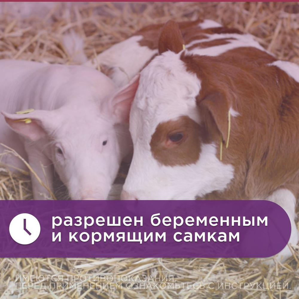 антибактериальный препарат для крупно рогатого скота, раствор для инъекций KRKA Марфлоксин 100мл, Марбофлоксацин 10%