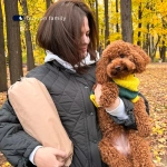 Подушка BuyTravel (в дорожном чехле)