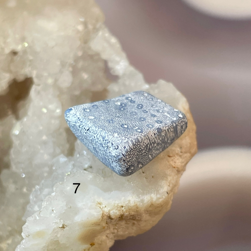 62217 Коралл голубой Галтовка 16-20мм--56