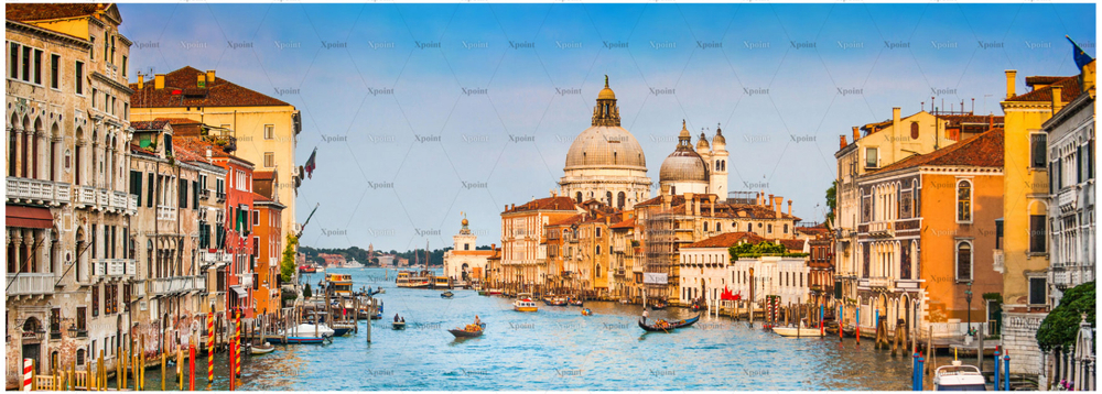 Микровелюр Xpoint (Икспоинт) 0086.01 Венеция