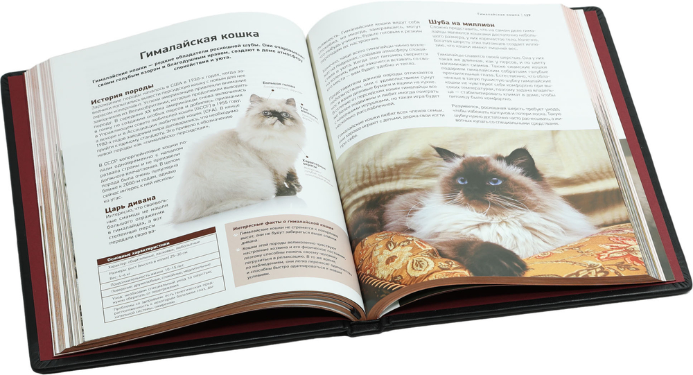 Все породы кошек