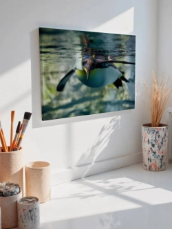 Картина на стену 40 X 50 Пингвин