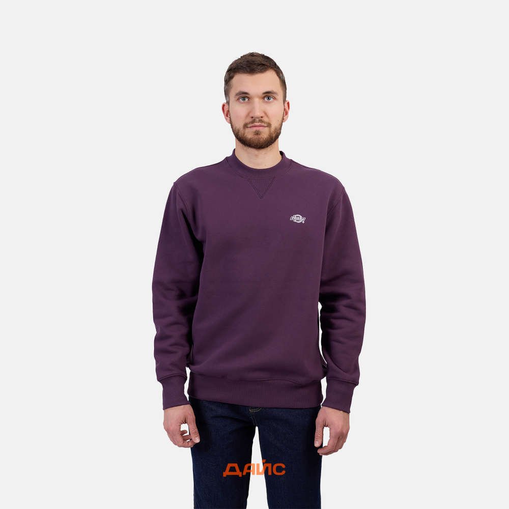 Толстовка мужская Dickies Summerdale Sweatshirt
