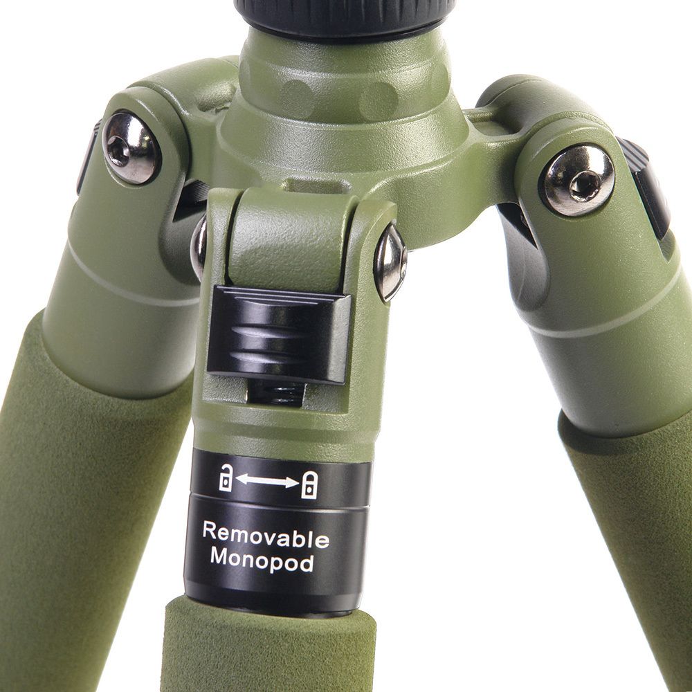 Falcon Eyes Green Line 1550 BH-10