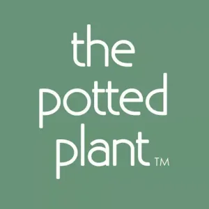 The Potted Plant