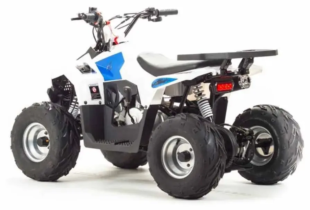 Квадроцикл Motoland 110 EAGLE (2020 г.)