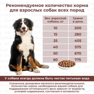 Сухой корм Дилли для взрослых собак "Рыба и рис"