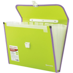 Папка-портфель пластиковая BRAUBERG "JOY" А4 (330х245х35 мм) 13 отделений с окантовкой салатовая (2 штуки в упаковке)