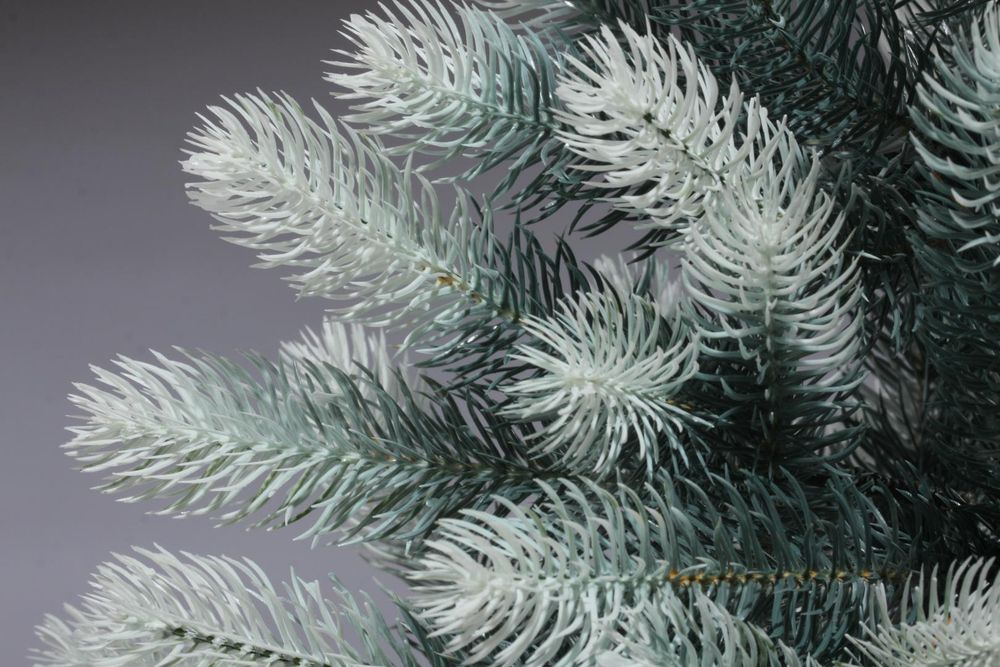 Ель искусственная «Русская Императрица голубая с белыми кончиками» (Литая хвоя) 250 см / 2,5 м