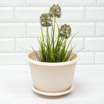 Кашпо Византия 3л, пудровый