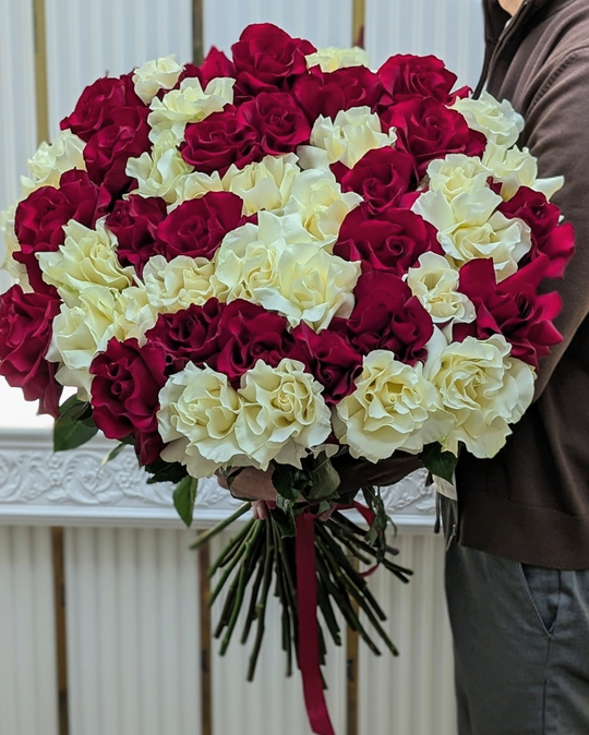 51 красная и белая французская роза