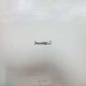 Виды Рыб / Фестиваль (LP)