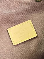 Louis Vuitton Bosphore Backpack