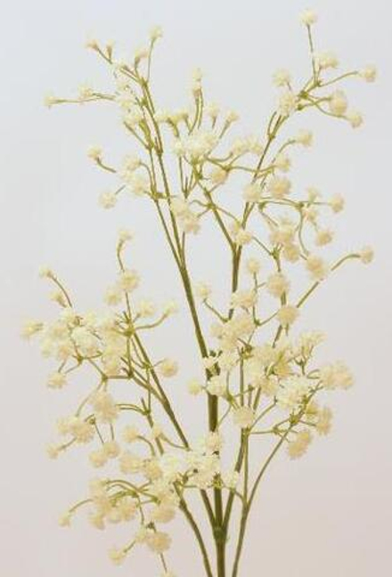 Гипсофила белая