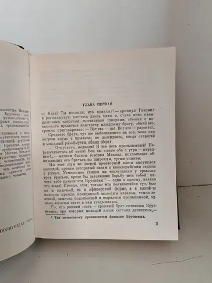 К земле неведомой: Повесть о Михаиле Брусневе