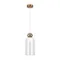 Подвесной светильник Фокус / Focus Freya fr5220pl-01g