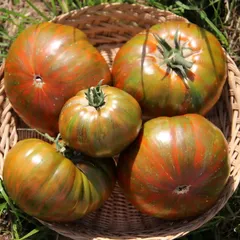 Помидоры Полосатые фермерские БИО / 500 гр