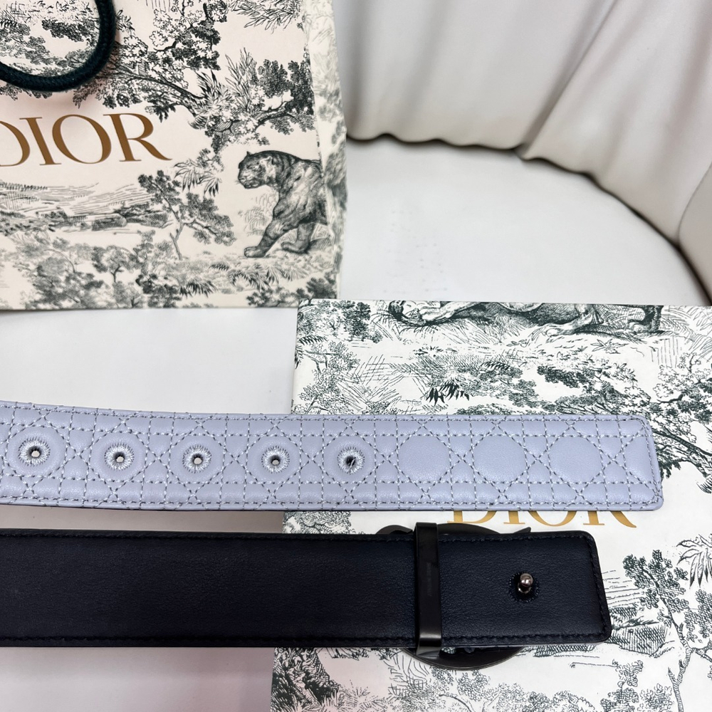 Christian Dior Reversible Belt