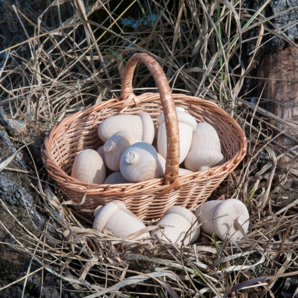 Счетный материал 12 желудей в мешочке неокрашенные