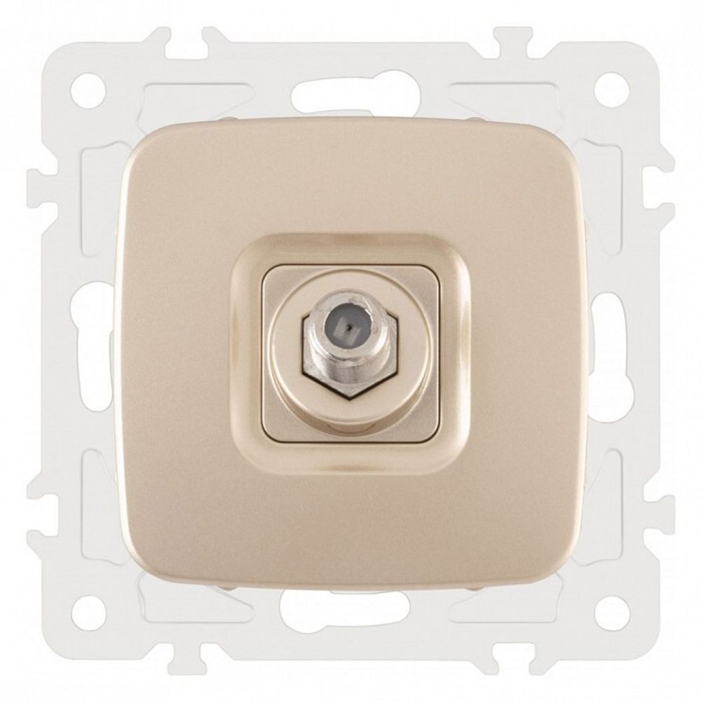 ТВ-розетка без рамки Arte Milano am-205 205.42-1.shampan