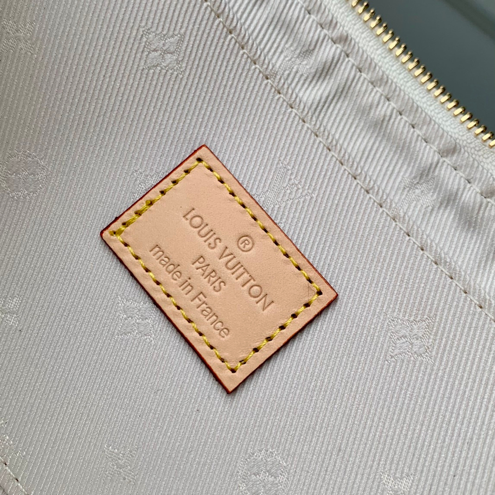 Louis Vuitton Pochette Accessoires