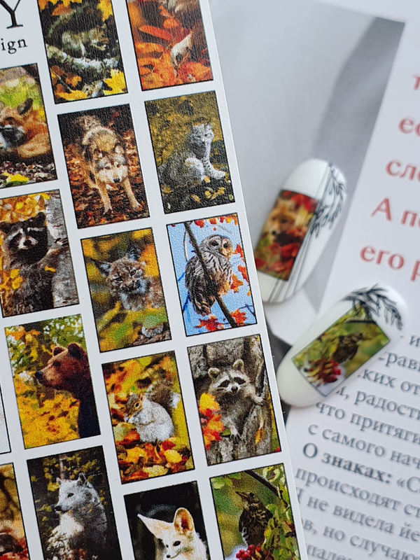 Слайдер - дизайн OKTY au-009