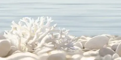 Декоративная плитка ALMA Ceramica DWU09DLM624 Del mare 50x24.9 голубая / бежевая глазурованная глянцевая морские мотивы