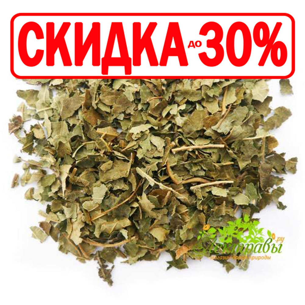 Лещина \ Фундук (лист)
