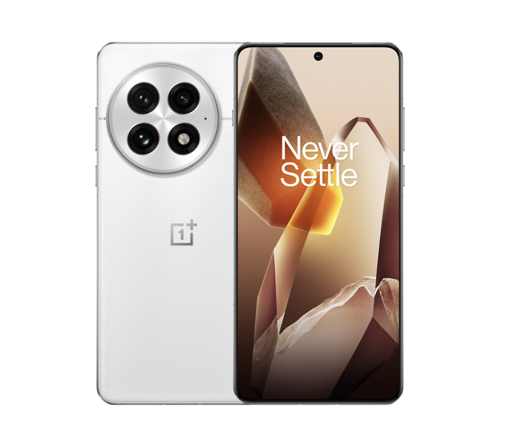 OnePlus 13 16/512Gb Arctic Dawn IN