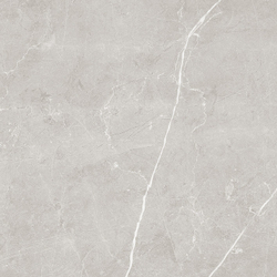 Scandy Керамогранит светло-серый обрезной SG645120R 60х60