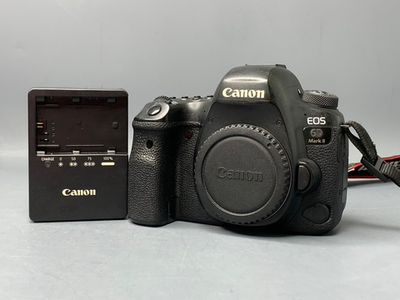 Canon 6D Mark II 21900 кадров