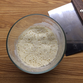 Емкость для ежедневного хранения закваски, 700 мл