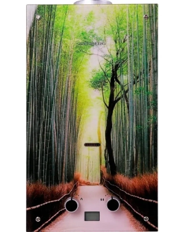 Водонагреватель газовый GENBERG Декор-Eco 210.01 Тростниковая роща, 10 л/мин, 20 кВт