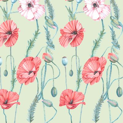 Маки на зеленом. Poppies on green background.