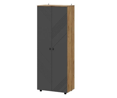 БАЙКАЛ Шкаф двухстворчатый (комбинированный) Графит/Дуб золотой