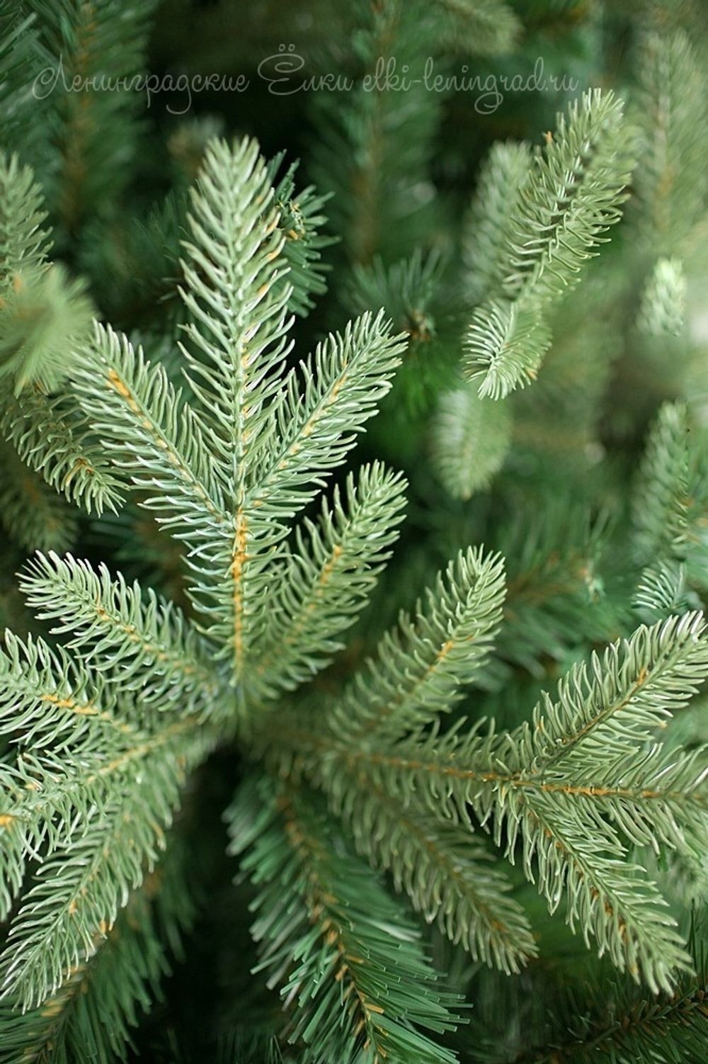 Елка с гирляндой «Валерио» (Литая+пвх) от 1.2 до 2.4 м