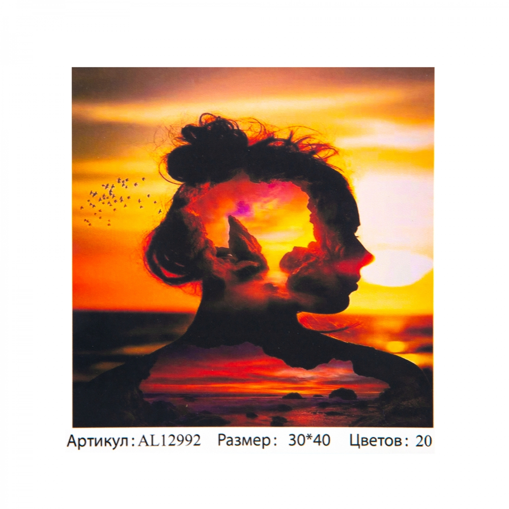 Картина по номерам Alingar, 30х40 см, 20 цветов, с акриловыми красками, холст на подрамнике, "Закат"